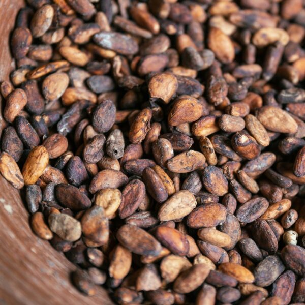 Cocoa